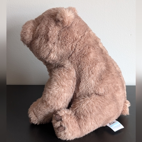 Jellycat | Wonda Wombat Plush Toy - Picture 4 of 15